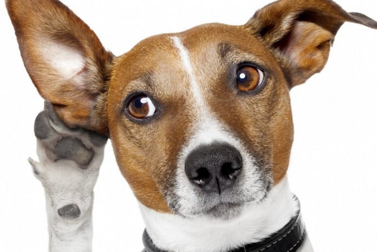 Speak something worth hearing